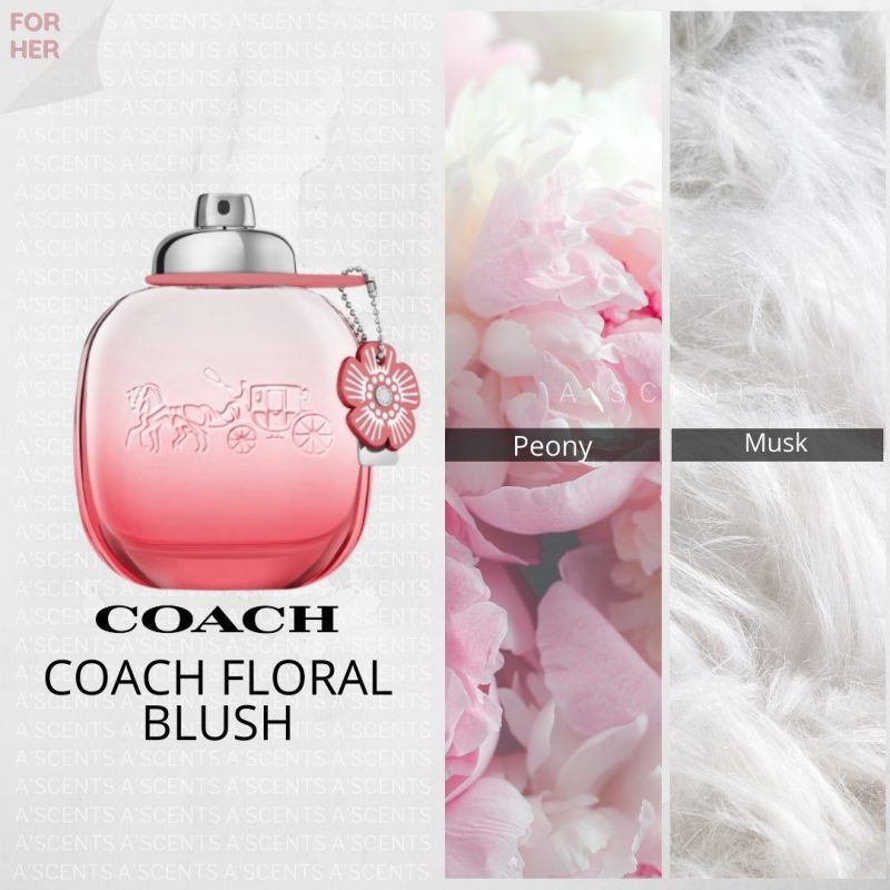 COACH - Floral Blush Perfume | 50 mL