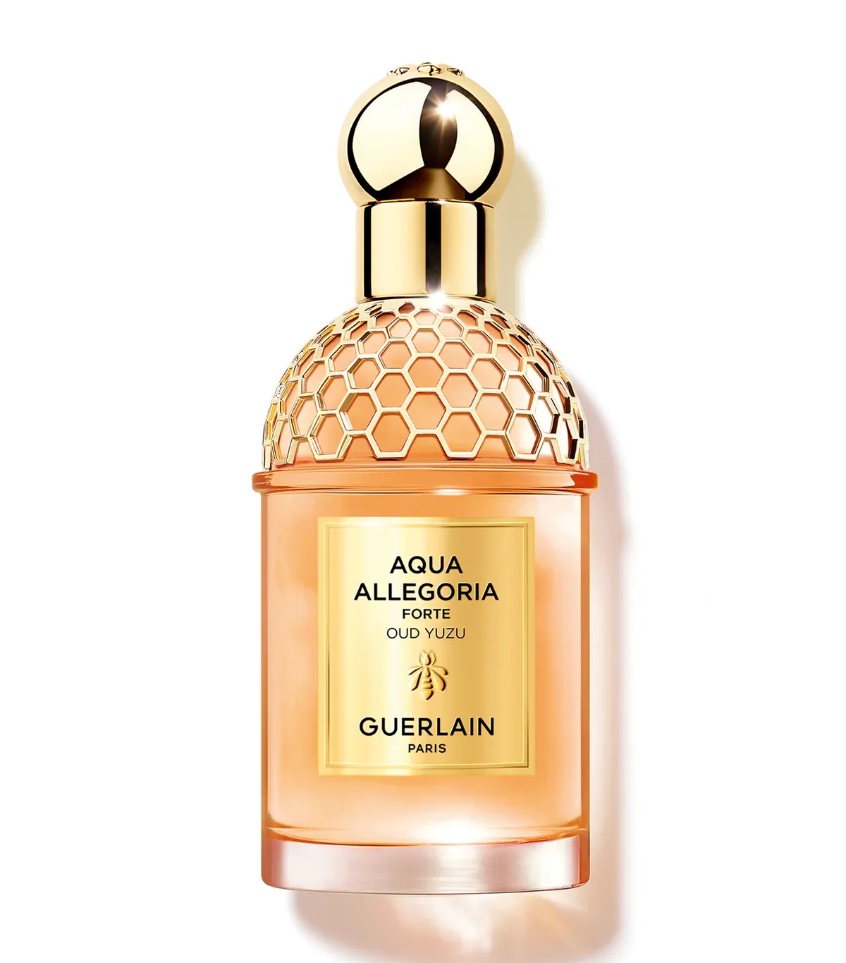 Guerlain - Aqua Allegoria Forte Oud Yuzu EDP | 125 mL