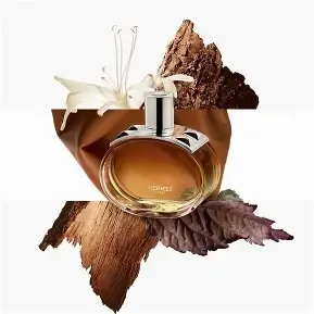 HermeS - ​Barénia Intense EDP | 100 mL