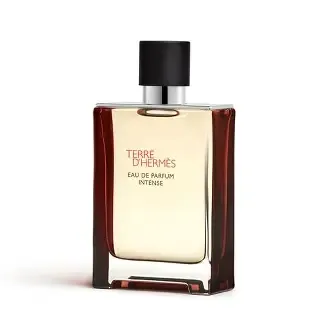 Hermes - ​Terre d&#39;Hermès Intense EDP | 100 mL