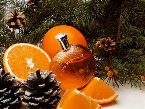 Hermes - Elixir Des Merveilles EDP | 100 mL