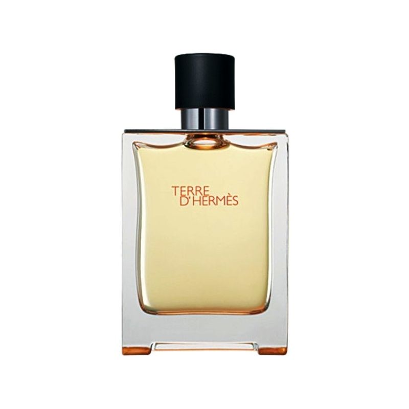 Hermes - ​Terre D&#39;hermes EDT | 100 mL