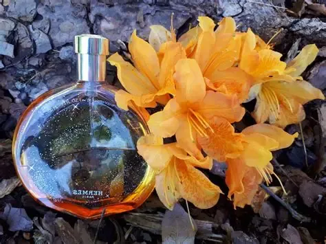 Hermes - ​L'ambre Des Merveilles EDP | 100 mL