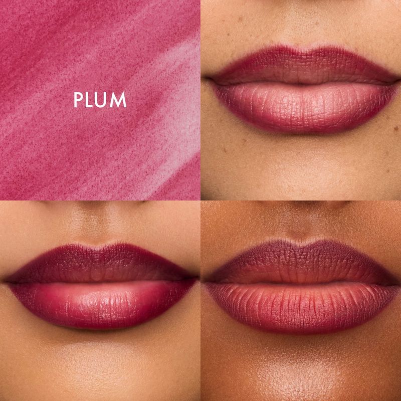 Summer Fridays  - Flushed Lip Stain 12HR Long-Lasting Lip Tint |  Plum - cool berry