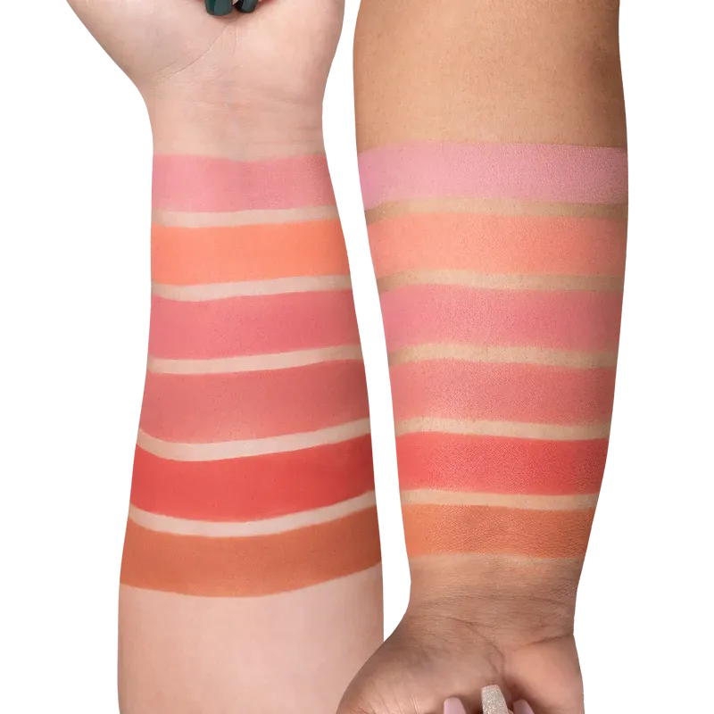 OFRA COSMETICS - Mini Mix Face Palette | Charm Your Cheeks