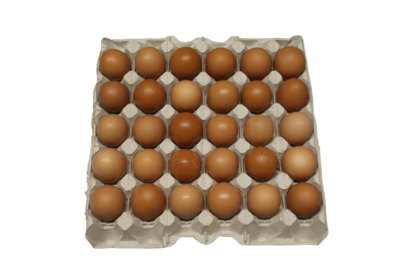 FR Eggs