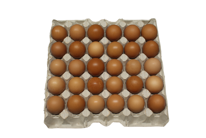 FR Eggs