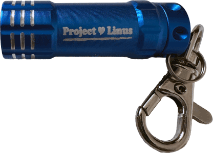 Mini LED Flashlight