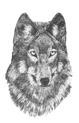 Wolf Card