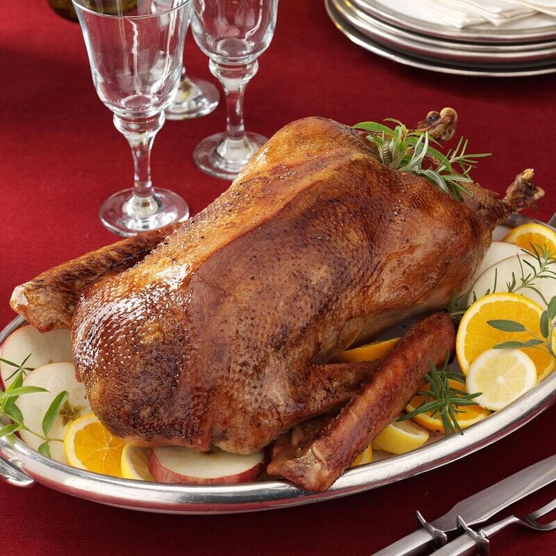 Free Range Goose