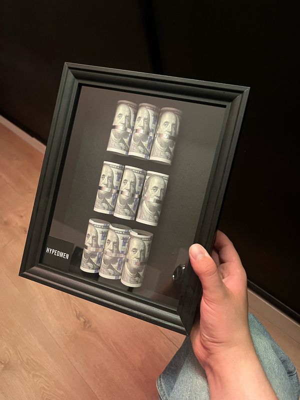 THE 900 DOLLAR FRAME