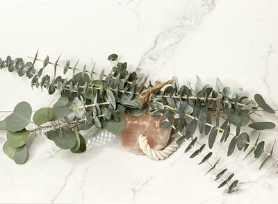HH Salt Rock &amp; Eucalyptus Bundle