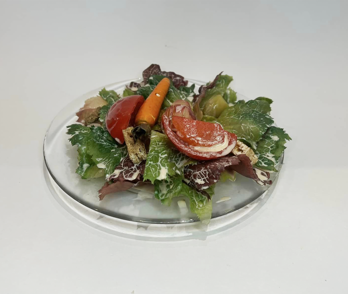 Faux Realistic Salad plate prop