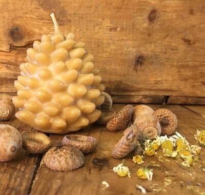 Thankful Sage Farm School - Beeswax Pinecone Candle