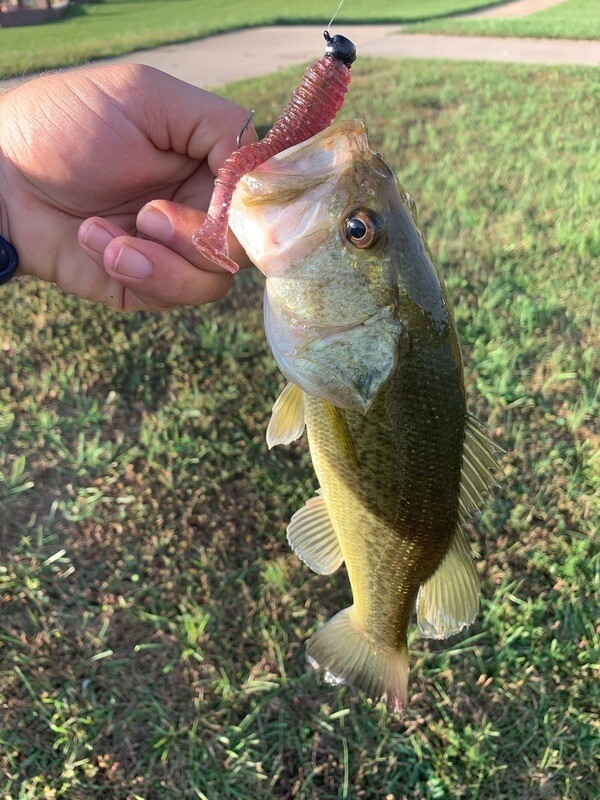 (Custom) 3.5" Swim Chub