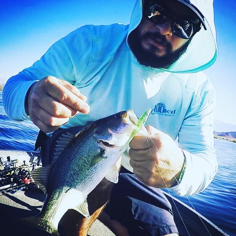 (Custom) 4" Rip Shad