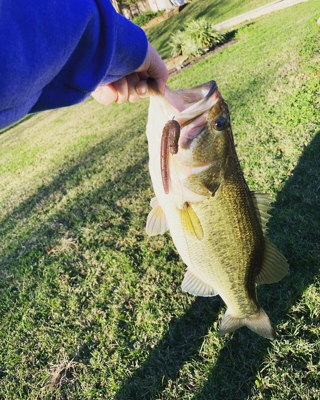 (Custom) 5" Chub Worm