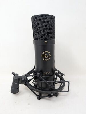 H&A Professional Condenser Microphone
