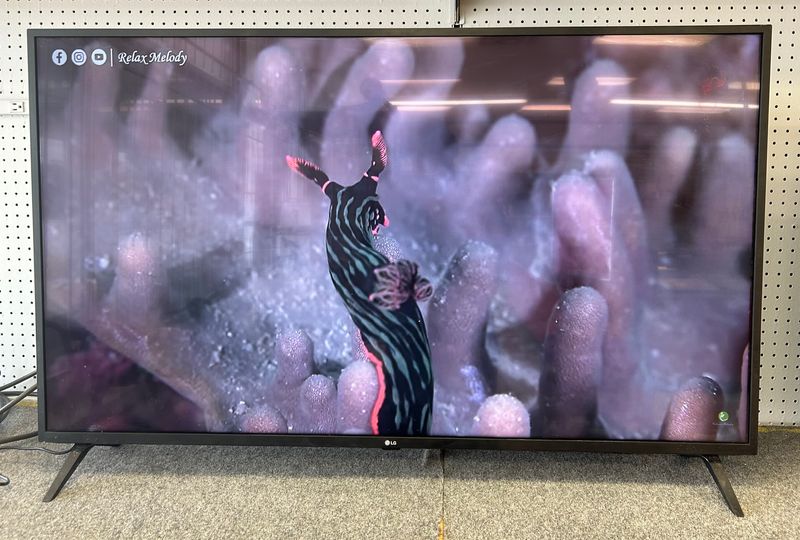 LG 55" Smart Flat Panel TV 55UM7300PUA