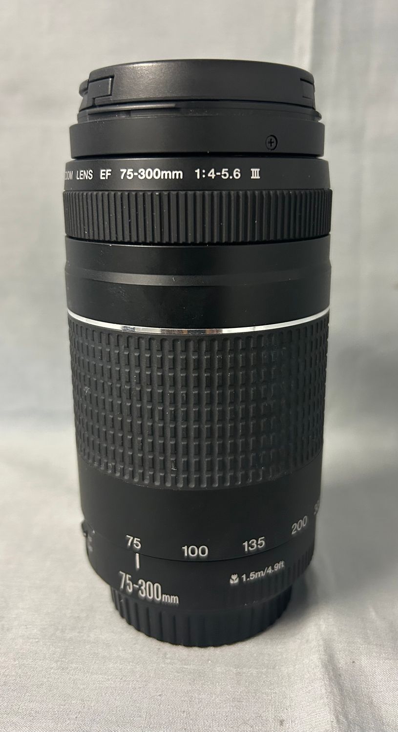 Canon Digital Camera EF 75-300MM Zoom Lens