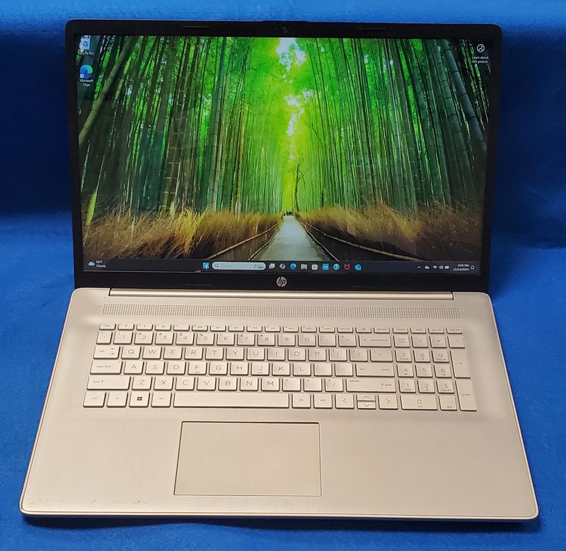 HP 17-CN0076NR Laptop
