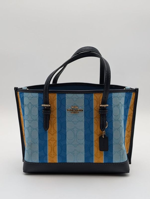 Coach Mollie 25 Signature Jacquard w/ Stripes