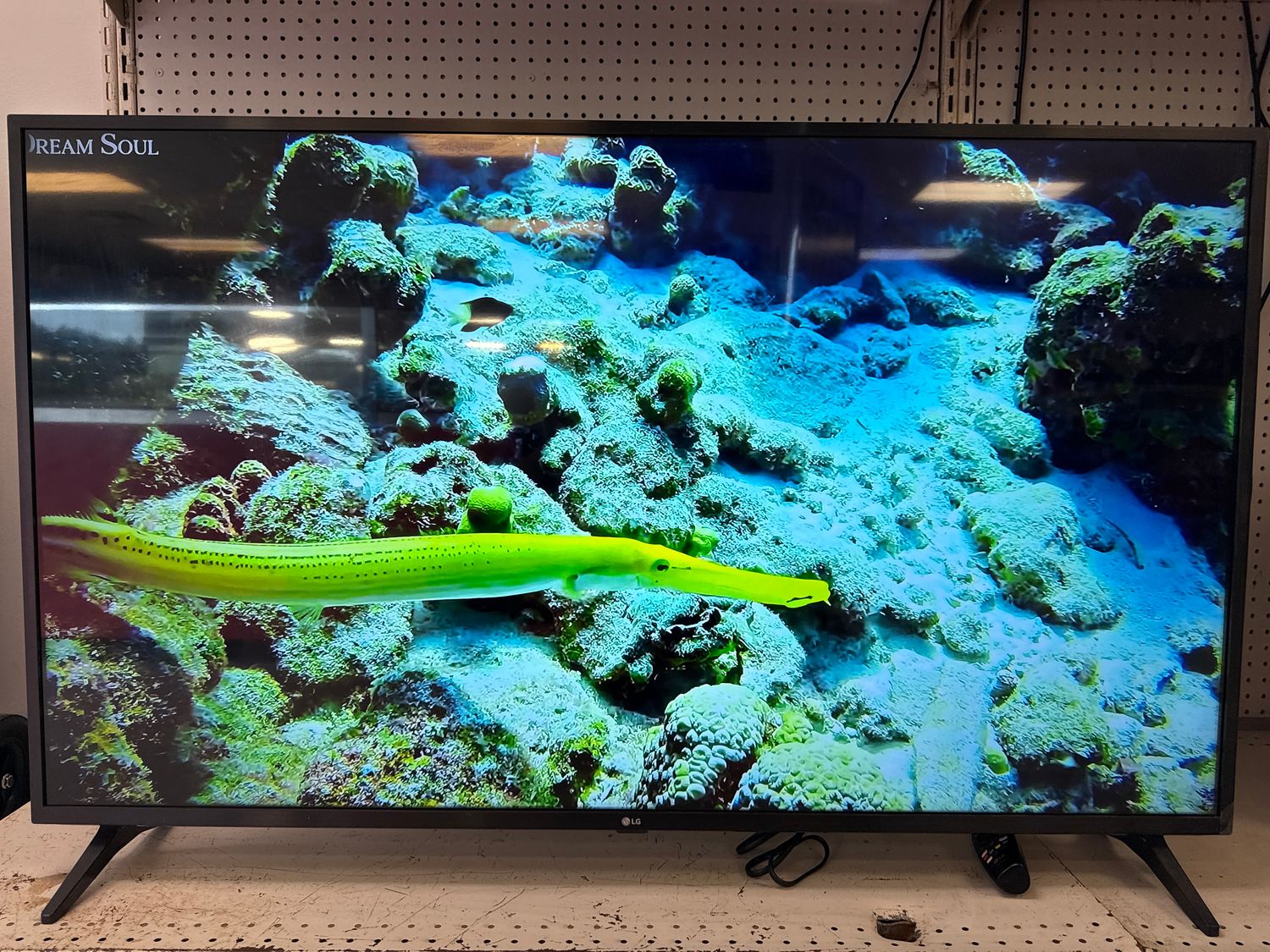 LG 55" Smart Flat Panel TV 55UN7300PUF