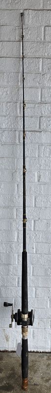 Penn Fishing Pole w/Reel