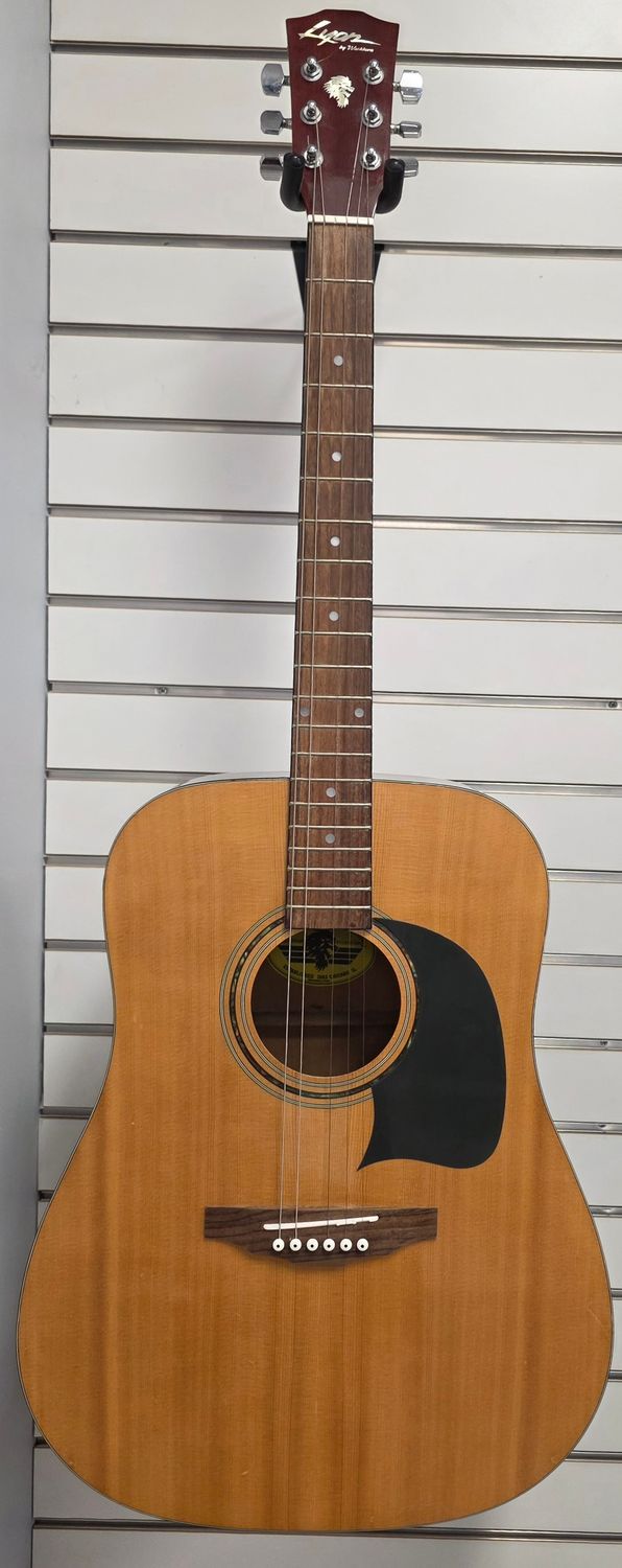 Lyon by Washburn Acoustic Guitar LG2TPAK