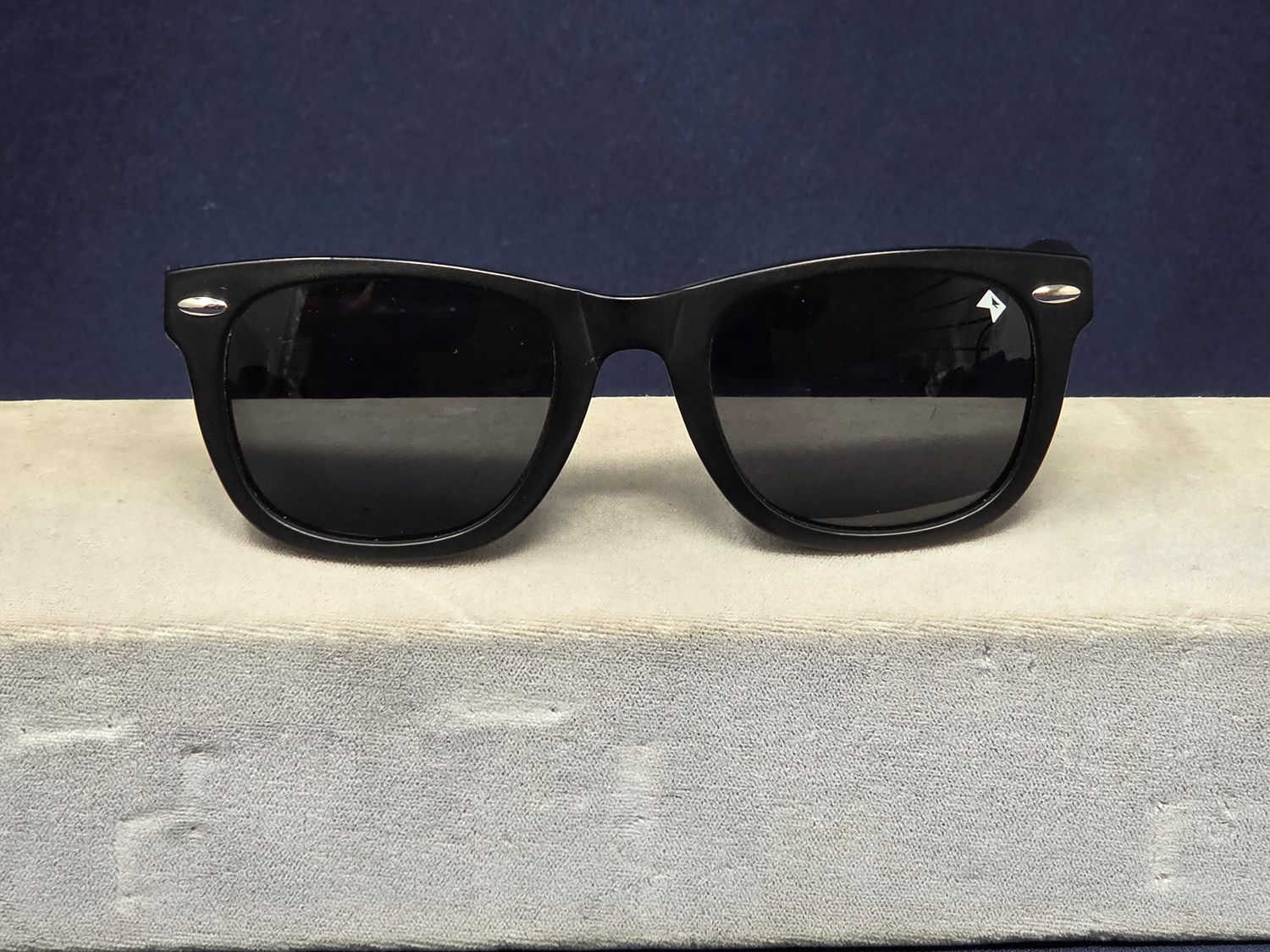 William Painter Titanium Sunglasses