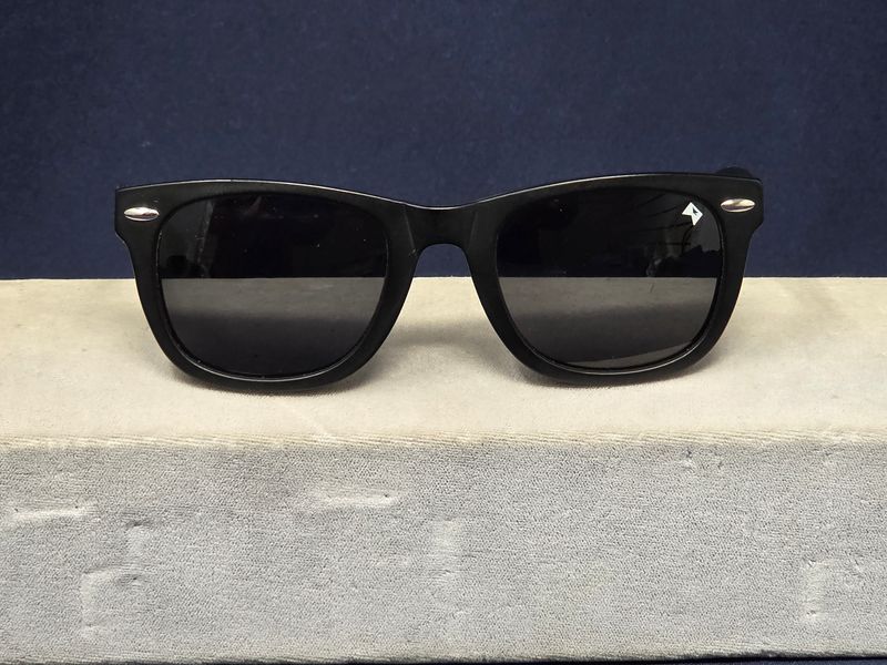 William Painter Titanium Sunglasses