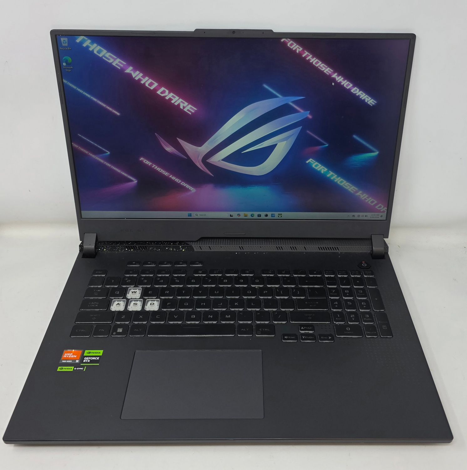 Asus Gaming Laptop G713PU-RS94