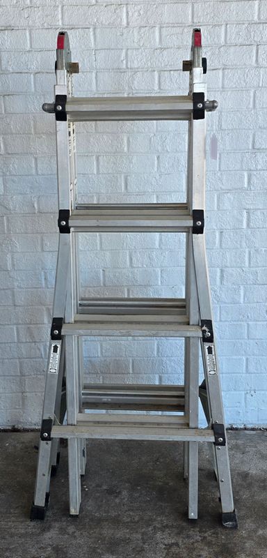 Franklin Ladder 63419