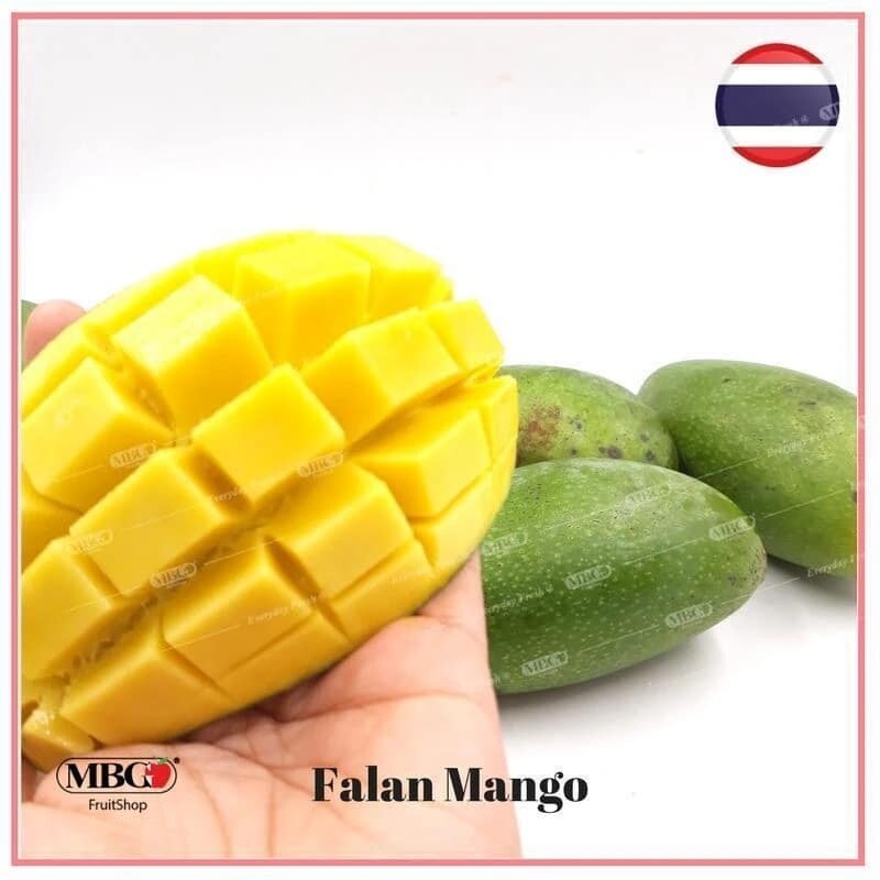 ​Xoài Thái Giòn Ngọt 7 Galllon