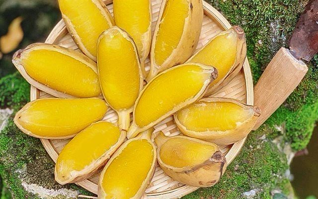 Chuối Sáp nghệ vn