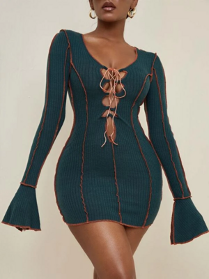 Flamboyant Mini Dress
