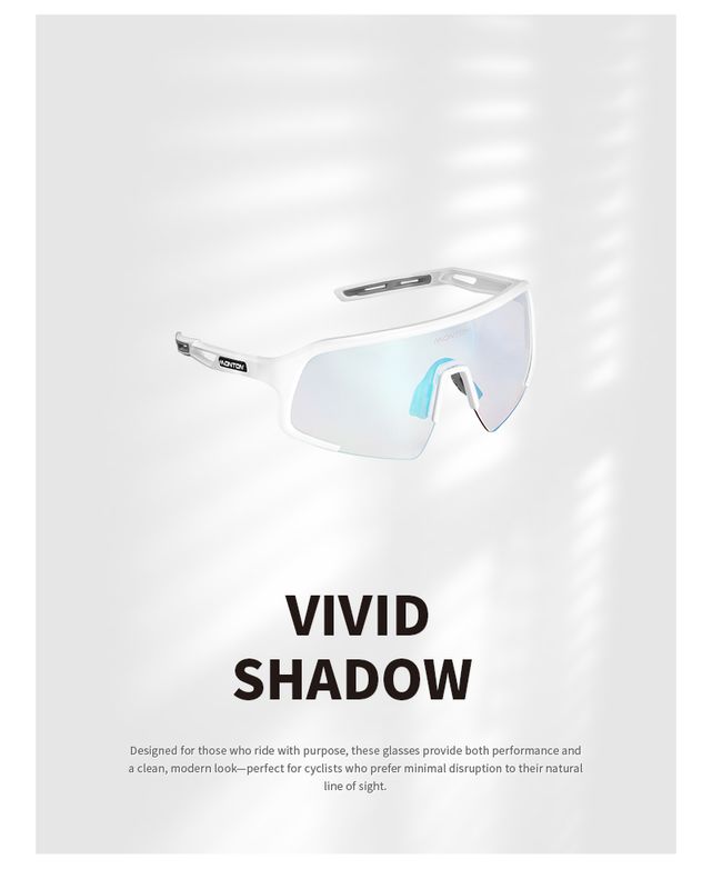VIVID Shadow Sunglasses Photochromic