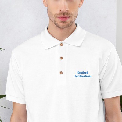 Custom Embroidered Polo Shirt