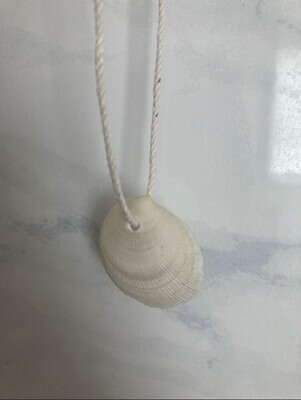 Shell necklace #1