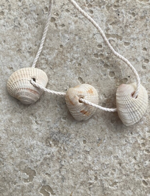 Shell bracelet #1