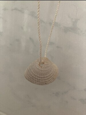 Shell necklace #3