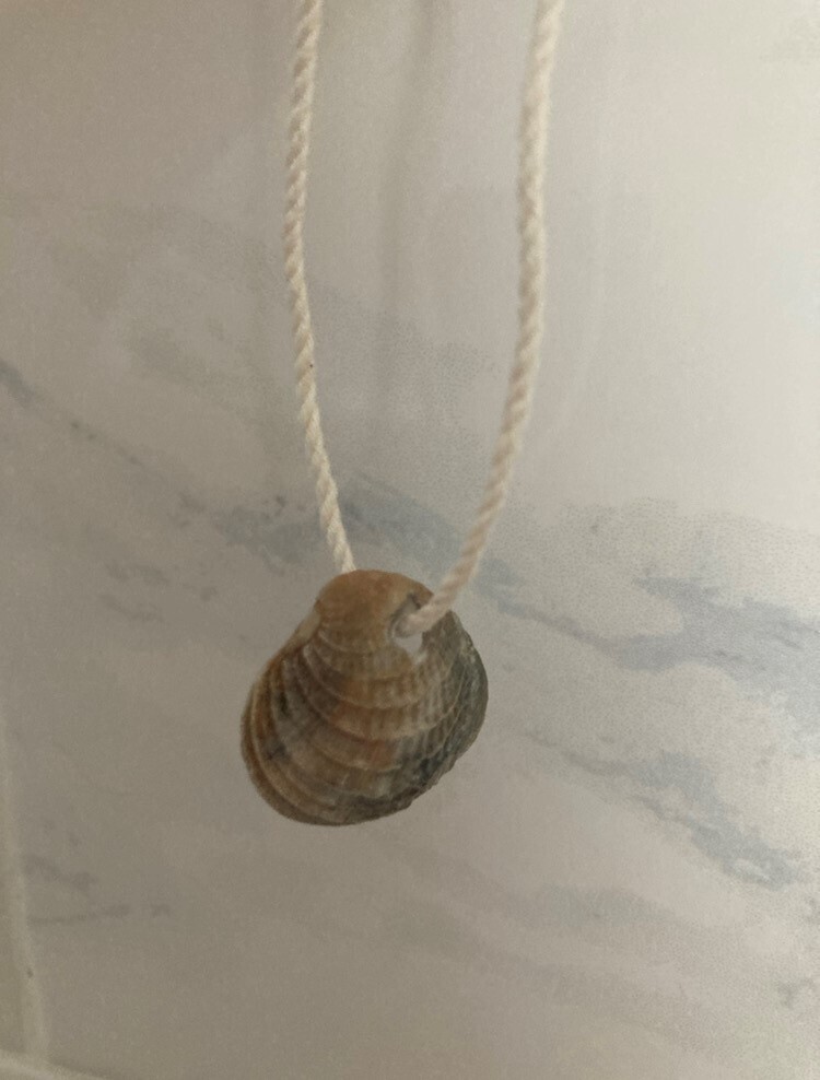 Shell necklace #2