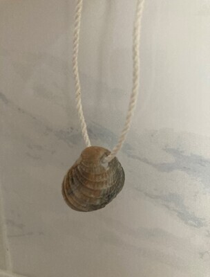 Shell necklace #2