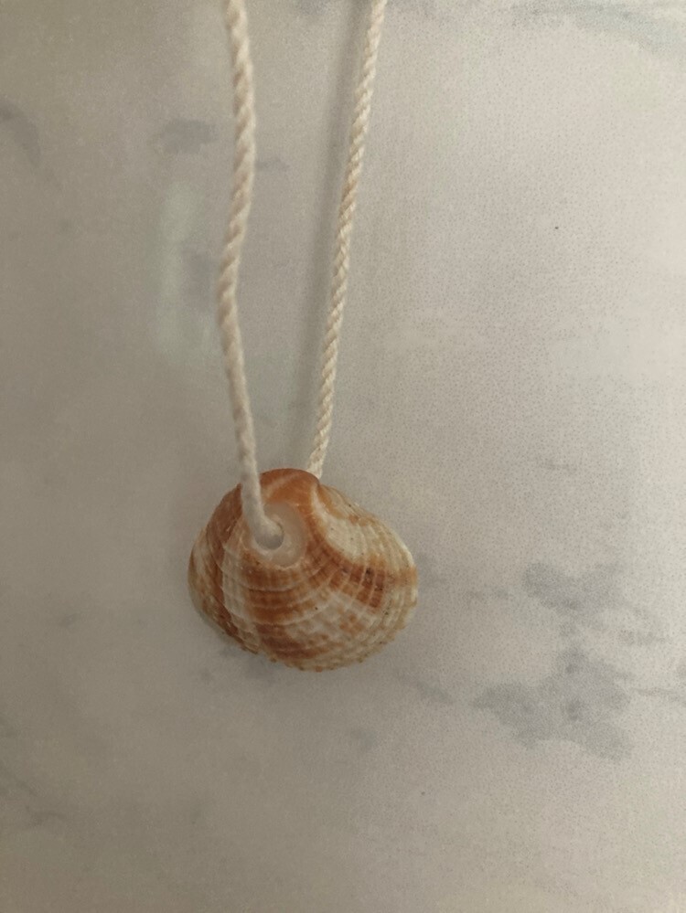 Shell necklace #4