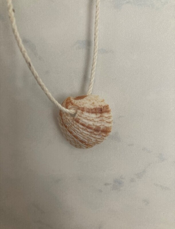 Shell necklace #5