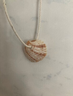 Shell necklace #5