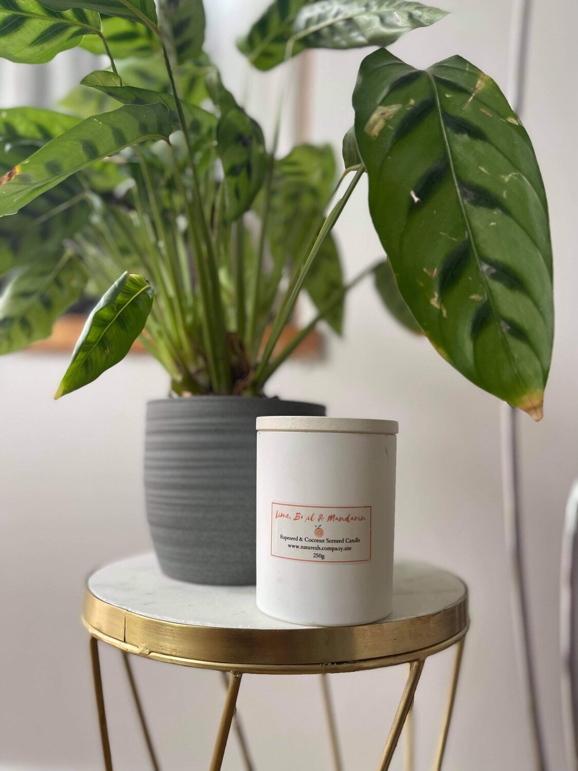 Lime Basil and Mandarin