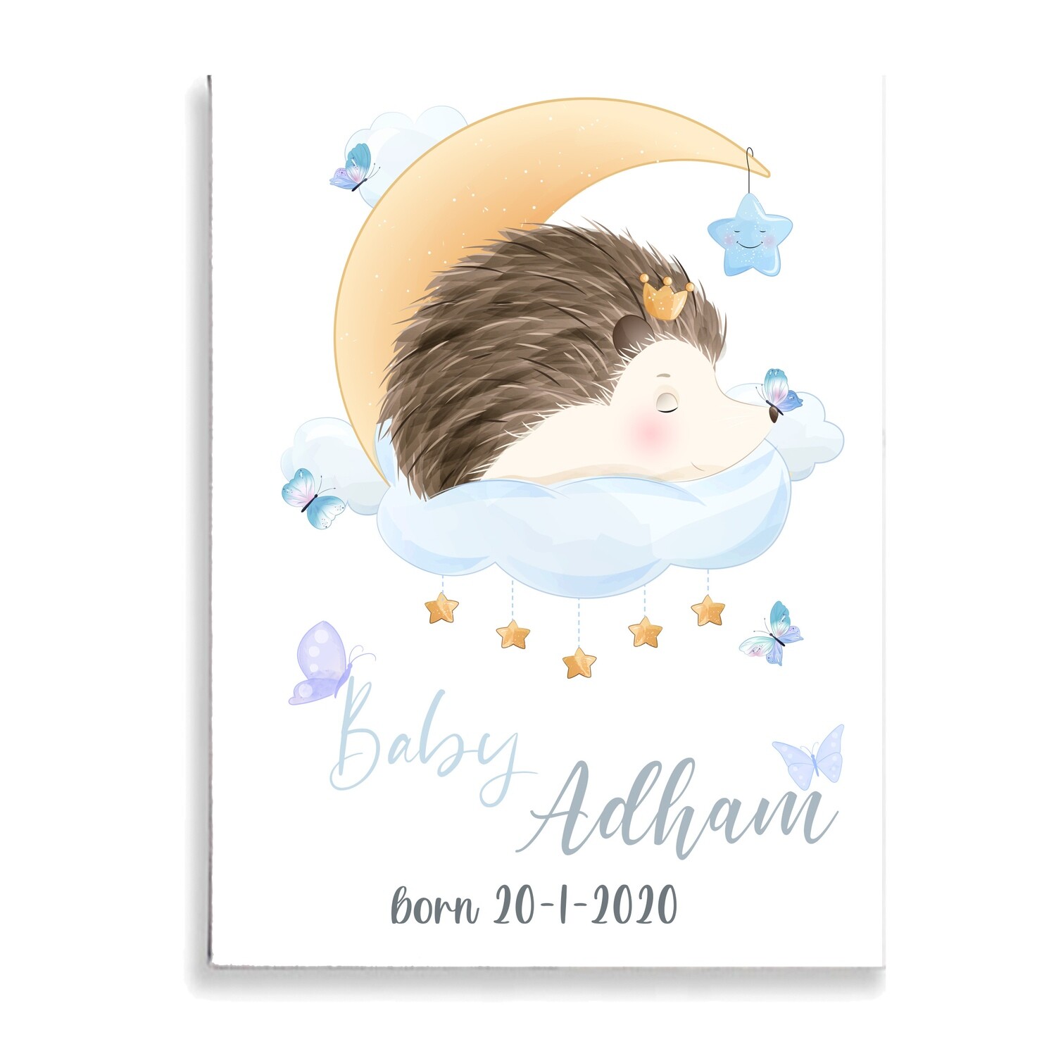 Hedgehog Baby Canvas