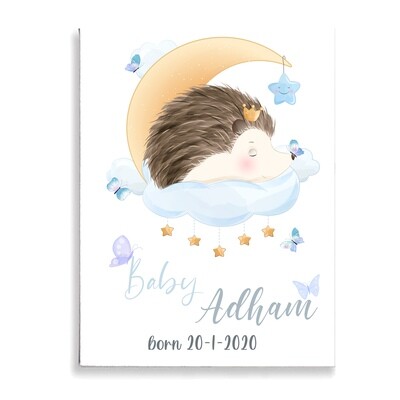 Hedgehog Baby Canvas