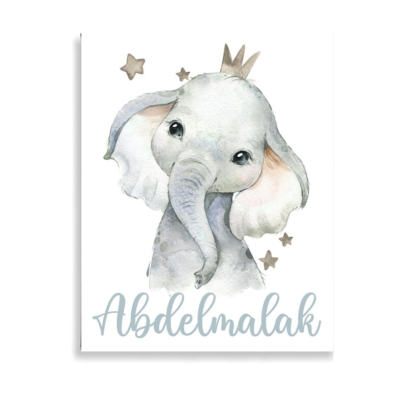 Baby Elephant prince Canvas